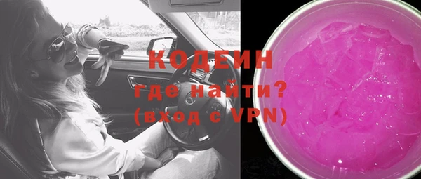 шишки Гусев