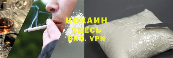 шишки Гусев