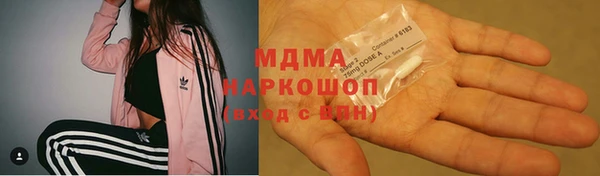 шишки Гусев