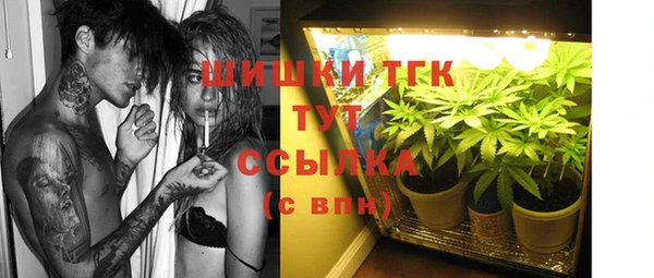 шишки Гусев