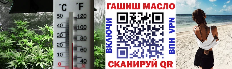 закладки  Онега  ТГК жижа 